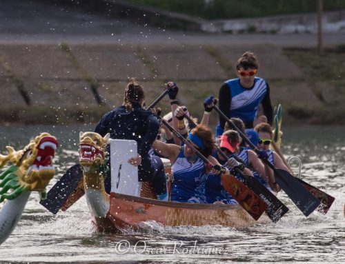 Un oro y tres bronces en VI Campeonato de España de 2000 metros